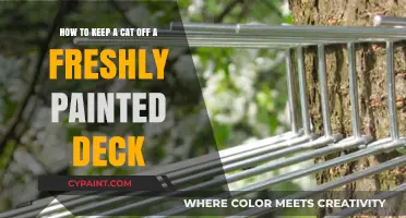 Fresh Paint, Fresh Problems: Keeping Your Cat Off the Deck