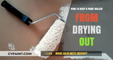 Keep Your Paint Roller Fresh: Tips for Avoiding Dry-Out