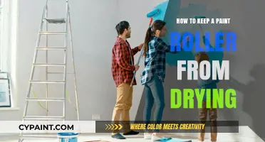 Prevent Paint Roller Dry-Out: Quick Tips for Reusable Tools