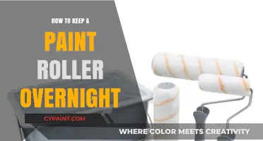 Preserve Your Paint Roller Overnight: Simple Tips for Reuse and Storage