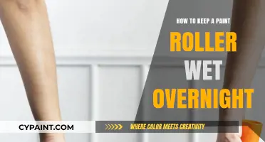 Keep Your Paint Roller Wet Overnight: Simple Tips for Painters