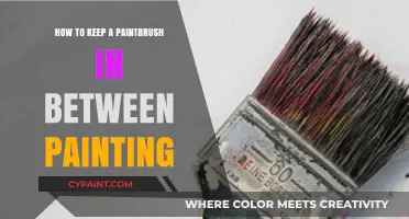Preserve Your Paintbrush: Simple Tips for Between-Painting Care