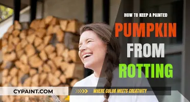 Preserve Your Painted Pumpkin: Tips to Prevent Rot and Decay