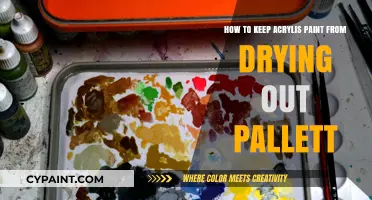 Avoid Acrylic Paint Dry-Out: Effective Pallet Preservation Techniques