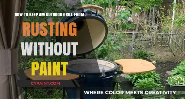 Protect Your Outdoor Grill: Rust-Proofing Tips Beyond Paint