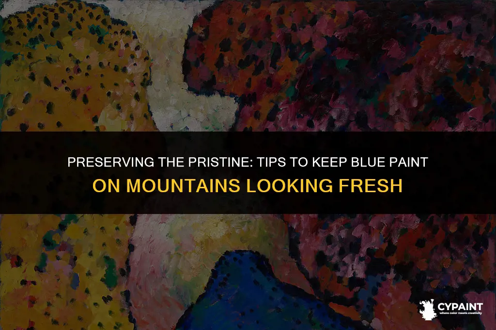 how to keep blue paint fod mountain to not lookp