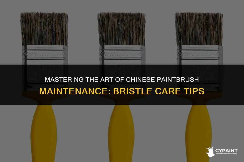 how to keep bristles on chinese paint brusk from spreading