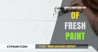 Effective Tips to Protect Fresh Paint from Unwanted Bugs