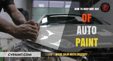 Effective Tips to Protect Your Car's Paint from Dirt and Grime