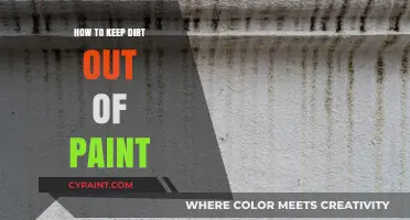 Effective Tips to Prevent Dirt from Ruining Your Paint Job