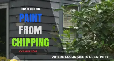 Prevent Paint Chipping: Essential Tips for Long-Lasting Dry Paint Finishes