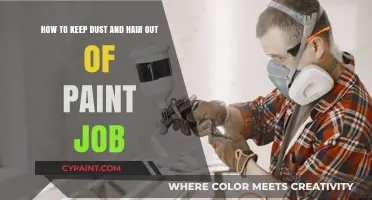 Mastering the Art of Dust and Hair-Free Paint Jobs