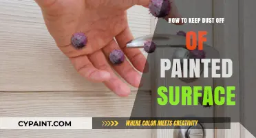 Effective Tips to Keep Painted Surfaces Dust-Free and Pristine