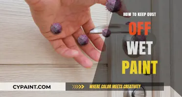 Prevent Dust on Wet Paint: Expert Tips for a Flawless Finish