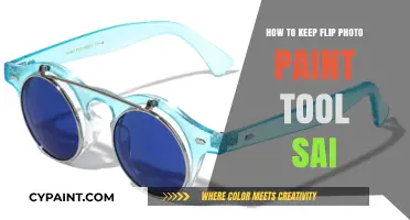 Mastering Flip and Photo Tools in Paint Tool SAI: A Quick Guide