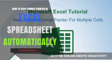 Keep Excel Spreadsheets Consistent with Auto Format Painter