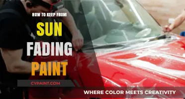 Protect Your Paint: Preventing Sun Fading on Exterior Surfaces