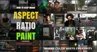 Preserve Image Aspect Ratio in Paint: A Step-by-Step Guide