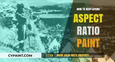 Mastering Layer Aspect Ratios in Digital Painting: Tips and Tricks
