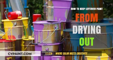 Preserve Your Paint: Smart Tips to Prevent Leftover Paint from Drying Out