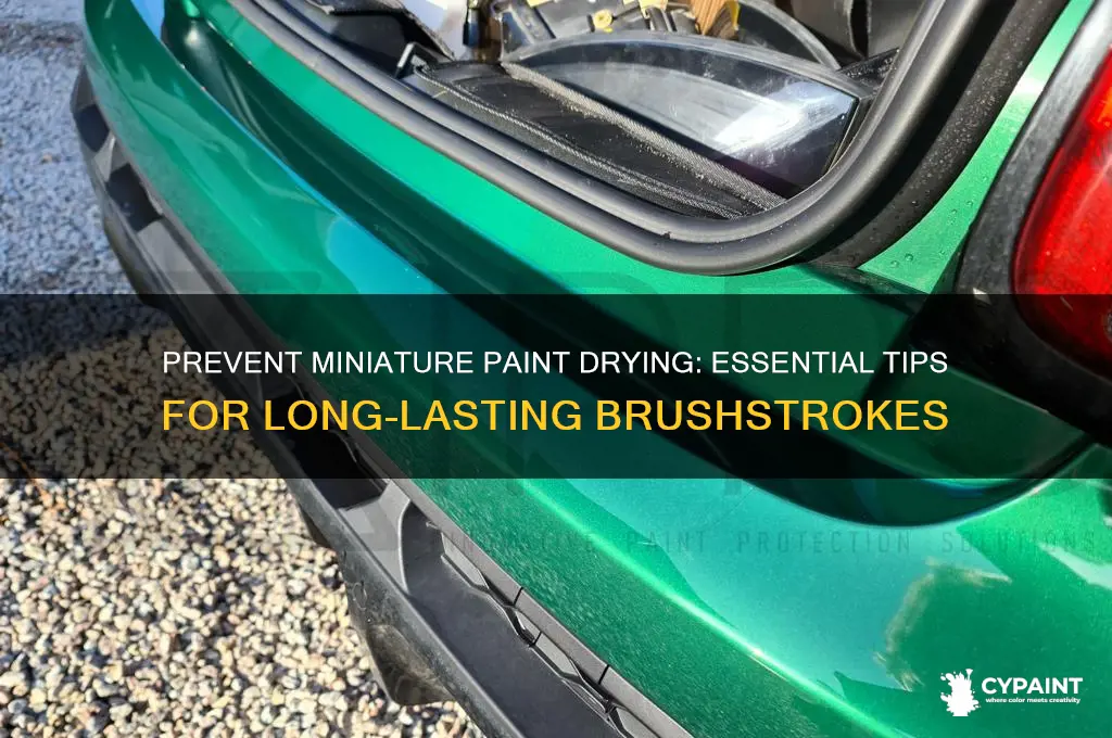 how to keep miniature paint from drying