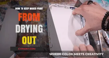 Preventing Mixed Paint from Drying Out: Essential Tips and Tricks