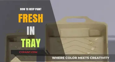 Keep Paint Fresh: Tray Storage Tips for Lasting Results