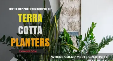 Preserve Your Terra Cotta: Tips to Prevent Paint Chipping