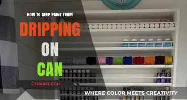 Mastering the Art of Drip-Free Paint Storage: A Comprehensive Guide