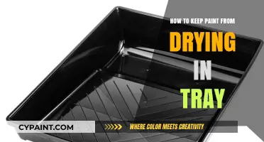 Prevent Paint Drying in Tray: Simple Tips for Painters