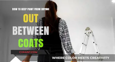 Keep Paint Fresh: Tips for Avoiding Dry Coats