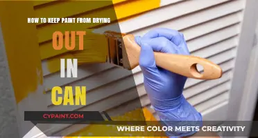Keep Paint Fresh: Tips for Preventing Dried-Out Cans