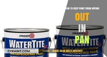 Keep Paint Fresh: Tips for Preventing Dried-Out Pans