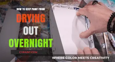 Prevent Paint Drying Overnight: Simple Tips to Save Your Supplies