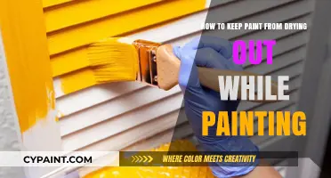 Keep Your Paint Fresh: Tips for Preventing Drying