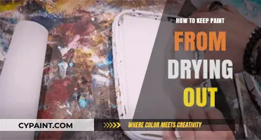 Prevent Paint Drying: Tips to Keep Your Colors Fresh and Usable