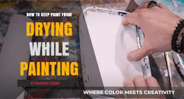 Prevent Paint Drying: Tips for Smooth, Continuous Painting Sessions