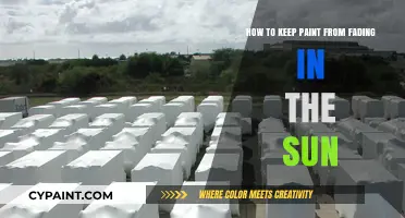 Protecting Paint: Preventing Sun Fading