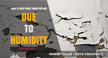Preventing Paint Peel: Tips for Humid Climates