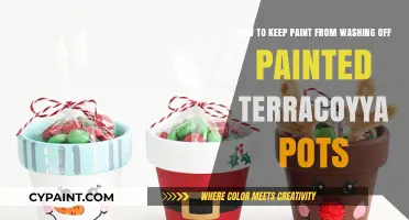 Preserving Color: Tips to Prevent Paint from Washing Off Terracotta Pots