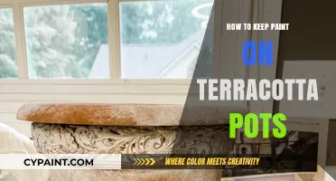 Sealing Secrets: Long-Lasting Paint Techniques for Terracotta Pots