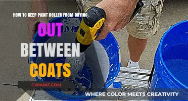 Mastering the Art of Paint Roller Maintenance: Tips to Prevent Drying