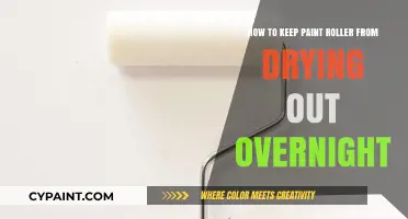 Keep Paint Rollers Fresh: Overnight Preservation Techniques
