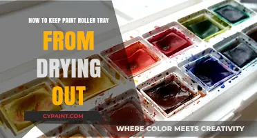 Keep Paint Roller Trays Fresh: Expert Tips