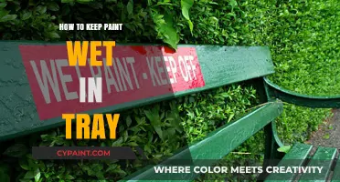 Effective Tips to Keep Paint Wet in Your Tray Longer