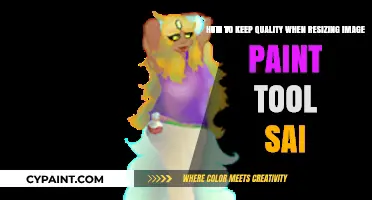 Mastering Image Resizing in Paint Tool SAI: A Quality Guide
