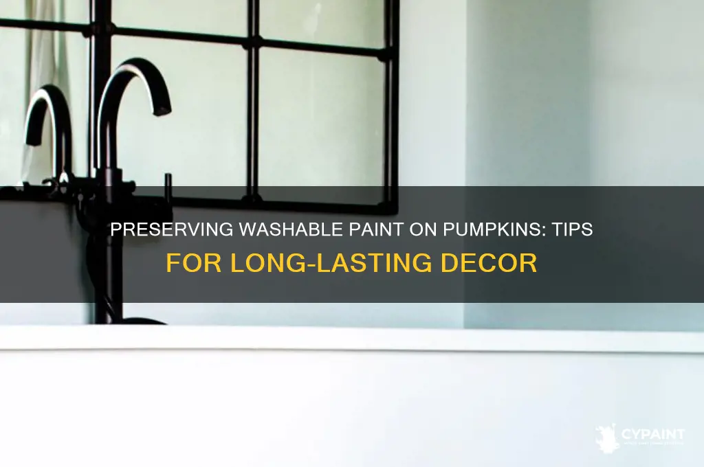 how to keep washable paint on pumpkins