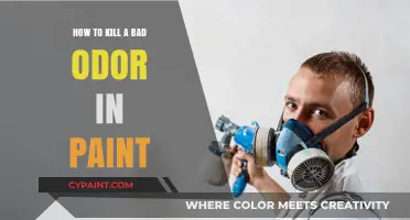 Eliminate Paint Odors: Effective Tips to Freshen Your Painted Space
