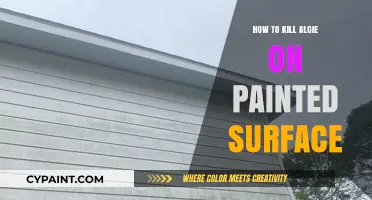 Effective Methods to Eliminate Algae from Painted Surfaces Safely