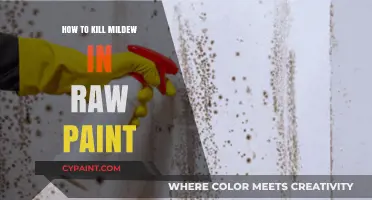 Effective Methods to Eliminate Mildew in Raw Paint: A Comprehensive Guide